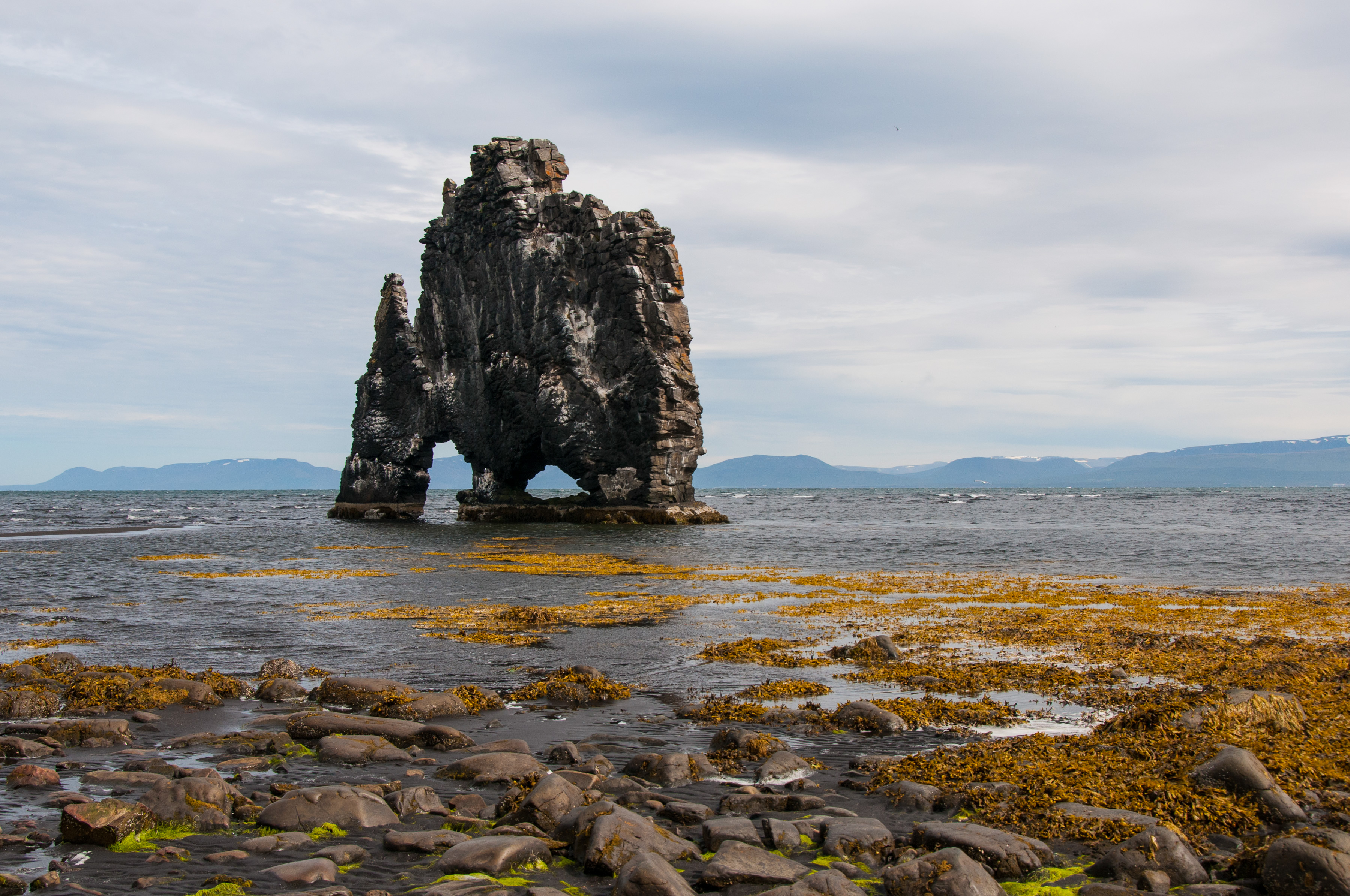 Basaltfels bei Huitserkur, Vatnsnes